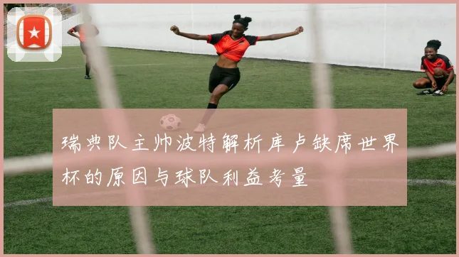 瑞典队主帅波特解析库卢缺席世界杯的原因与球队利益考量